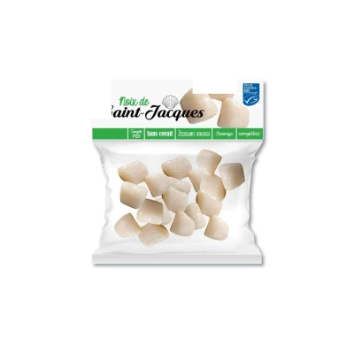 Nos céphalopodes Visuel 1 principal